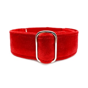 Ruby Velvet Martingale OR Quick Release Buckle Dog Collar - Soft Bright Red Velvet-Wrapped Luxury Pet Collar for Sensitive Necks