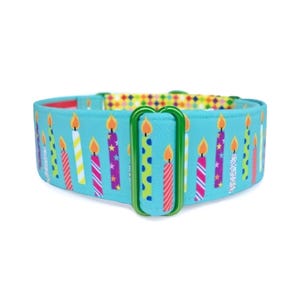 Birthday Puppy Martingale OR Quick Release Buckle Dog Collar: Colorful Candles and Party Confetti Custom Pet Collar for Dog Birthdays