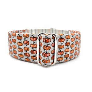 Op de afbeelding: Een witte en oranje hondenriem met een zilveren gesp. De riem is bedekt met een patroon van kleine oranje pompoenen.