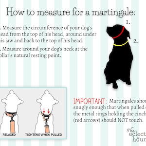 Może przedstawiać: Grafika instruktażowa zatytułowana How to measure for a martingale, przedstawiająca czarną sylwetkę psa z czerwonymi i ż&oacute;łtymi liniami pomiarowymi, schematy obroży w stanie rozluźnionym i zaciśniętym oraz instrukcje tekstowe.