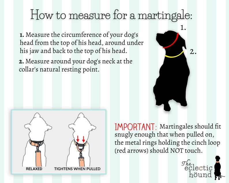 Może przedstawiać: Grafika instruktażowa zatytułowana How to measure for a martingale, przedstawiająca czarną sylwetkę psa z czerwonymi i ż&oacute;łtymi liniami pomiarowymi, schematy obroży w stanie rozluźnionym i zaciśniętym oraz instrukcje tekstowe.