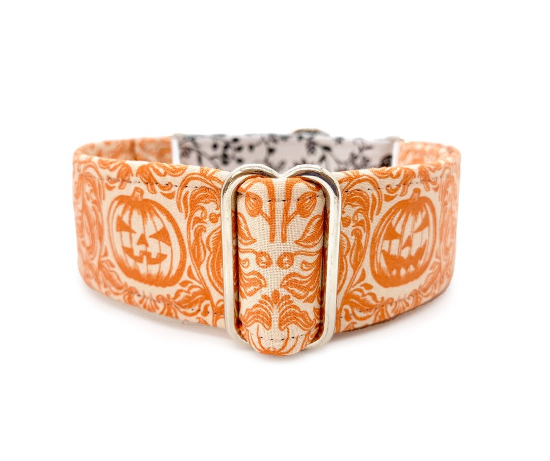 Mystic Halloween Martingale OR Side Release Buckle Dog Collar Gray