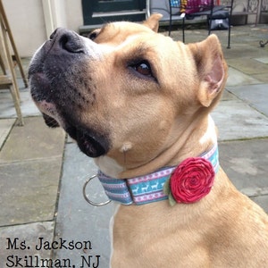 Dog Collar Flower Accessory for Girl Dogs, Hand-Wrapped, Detachable, Colorful Fabric Rosette Flower with Snap or Hook and Loop Attachment image 3