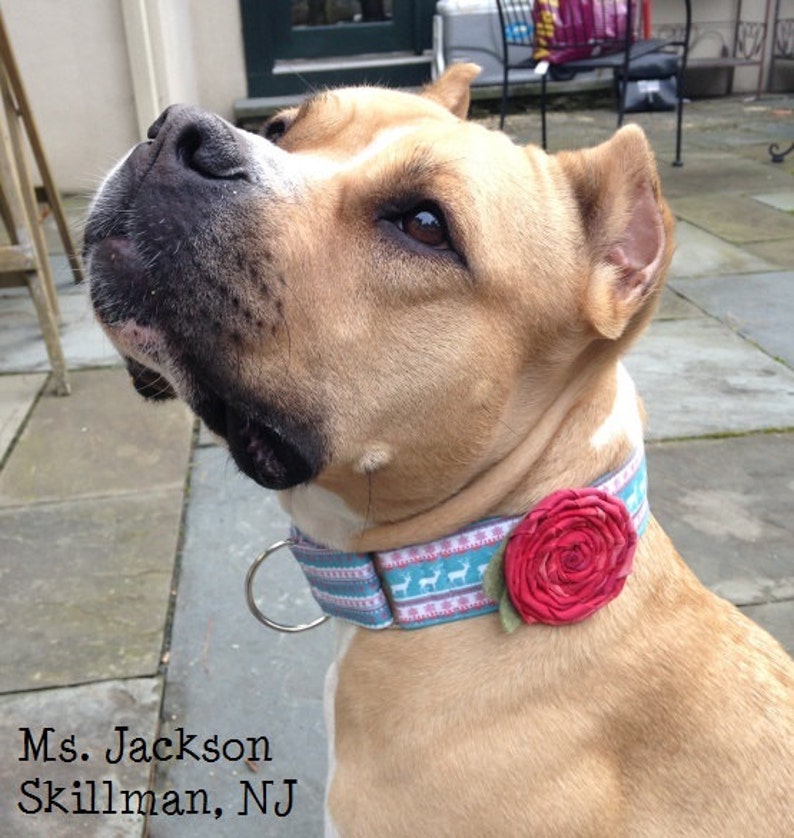Dog Collar Flower Accessory for Girl Dogs, Hand-Wrapped, Detachable, Colorful Fabric Rosette Flower with Snap or Hook and Loop Attachment image 3