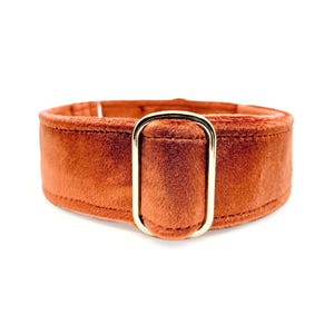 Spice Velvet-Wrapped Martingale OR Quick Release Buckle Dog Collar - Soft Autumn Orange Luxury Velvet Pet Collar for Sensitive Necks