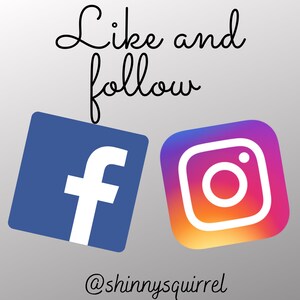 Puede incluir: Imagen con el texto "Like and follow" en fuente cursiva negra. Debajo del texto hay dos iconos de redes sociales: un icono de Facebook azul y un icono de Instagram multicolor. El texto "@shinnyssquirrel" est&aacute; debajo de los iconos.