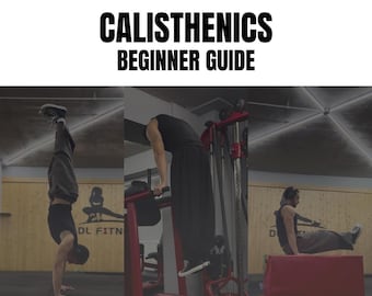 Beginner Calisthenics Guide PDF, First Pull Up Training Plan, Push Up Progressions, Bodyweight Workout Plan, Home Workout, Instant Download