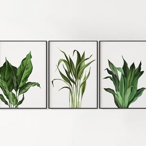 Lush Plant Wall Art / DIGITAL DOWNLOAD / Printable Wall Decor / Peace Lily, Palm, Dracaena / Botanical Print / Plant Lover