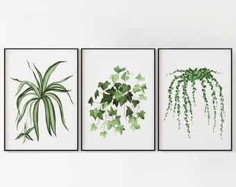 Hanging Plant Wall Art / DIGITAL DOWNLOAD / Printable Wall Decor / English Ivy, Spider Plant, String of Pearls Plant / Plant Lover