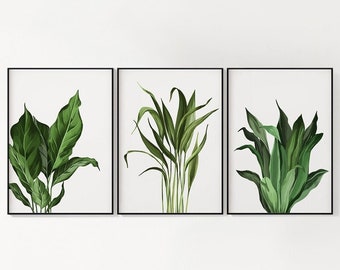 Lush Plant Wall Art / DIGITAL DOWNLOAD / Printable Wall Decor / Peace Lily, Palm, Dracaena / Botanical Print / Plant Lover