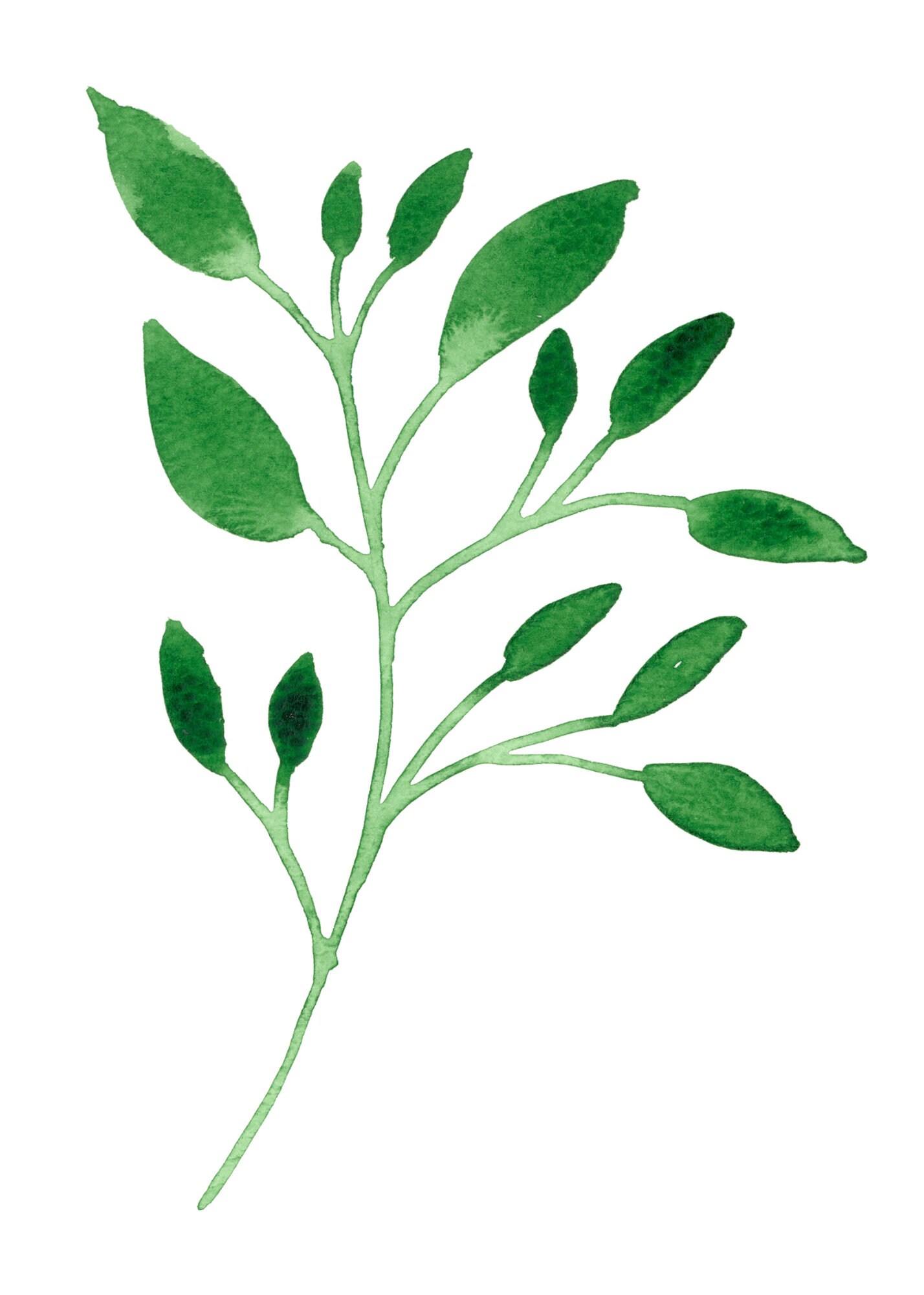 Greenery Plant Set of 3 Wall Decor for Your Home DIGITAL DOWNLOAD Etsy UK