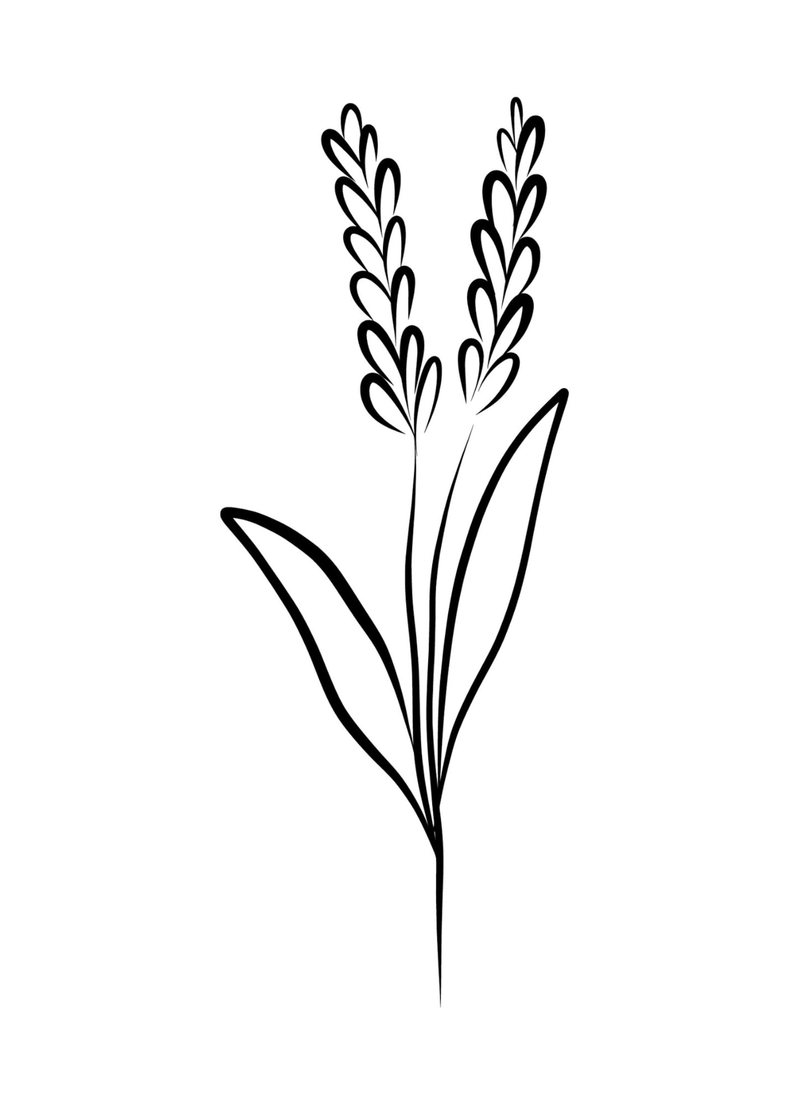 Lovely Botanical Plant Set of 4 Prints, Black and White, DIGITAL