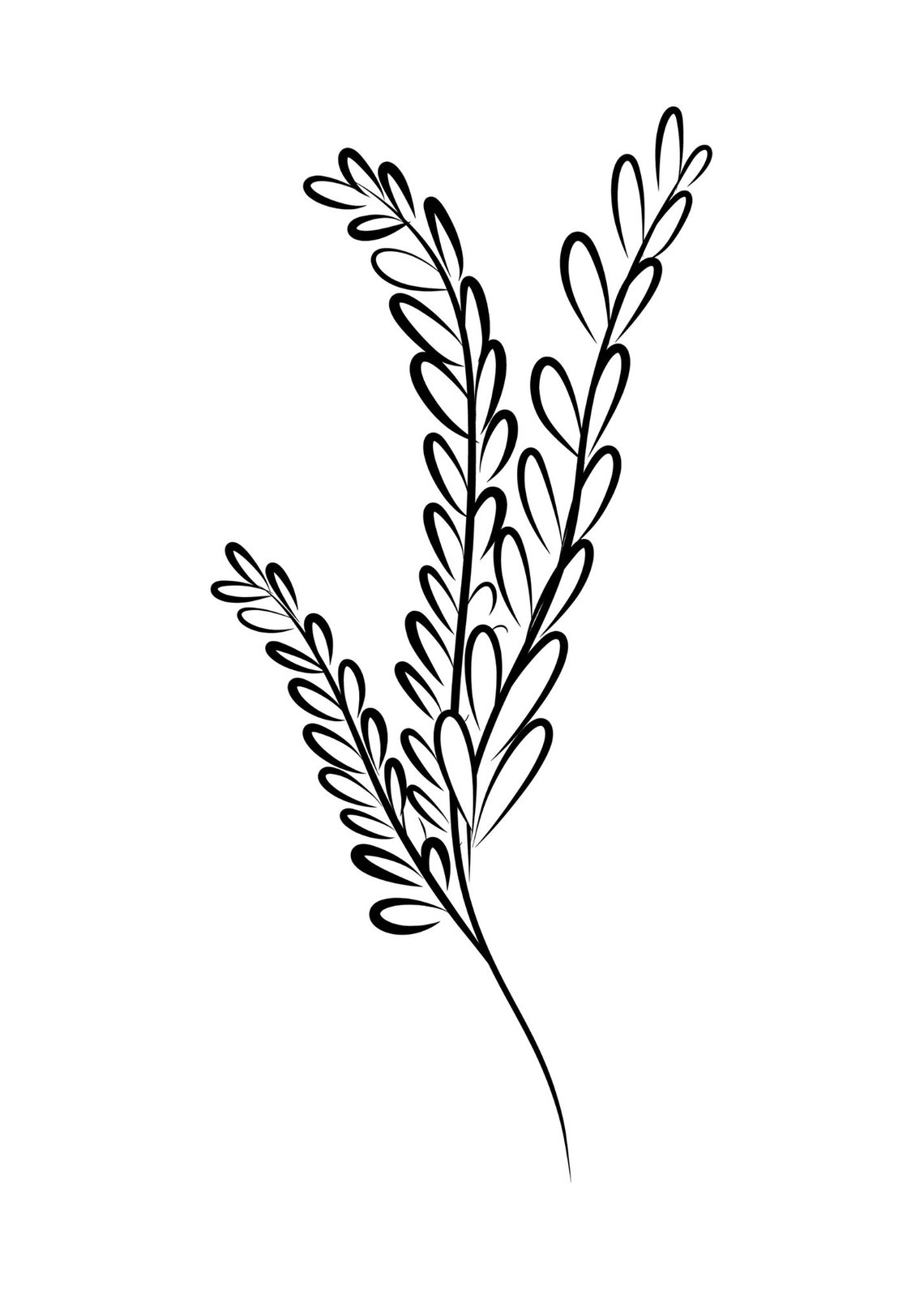 Lovely Botanical Plant Set of 4 Prints, Black and White, DIGITAL