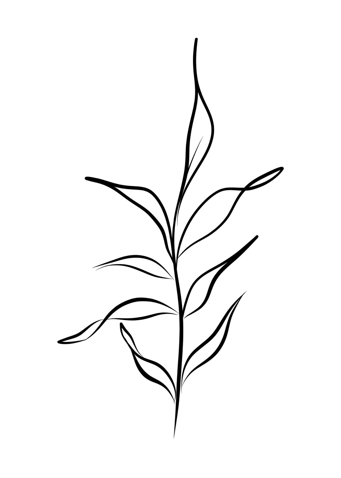 Lovely Botanical Plant Set of 4 Prints, Black and White, DIGITAL