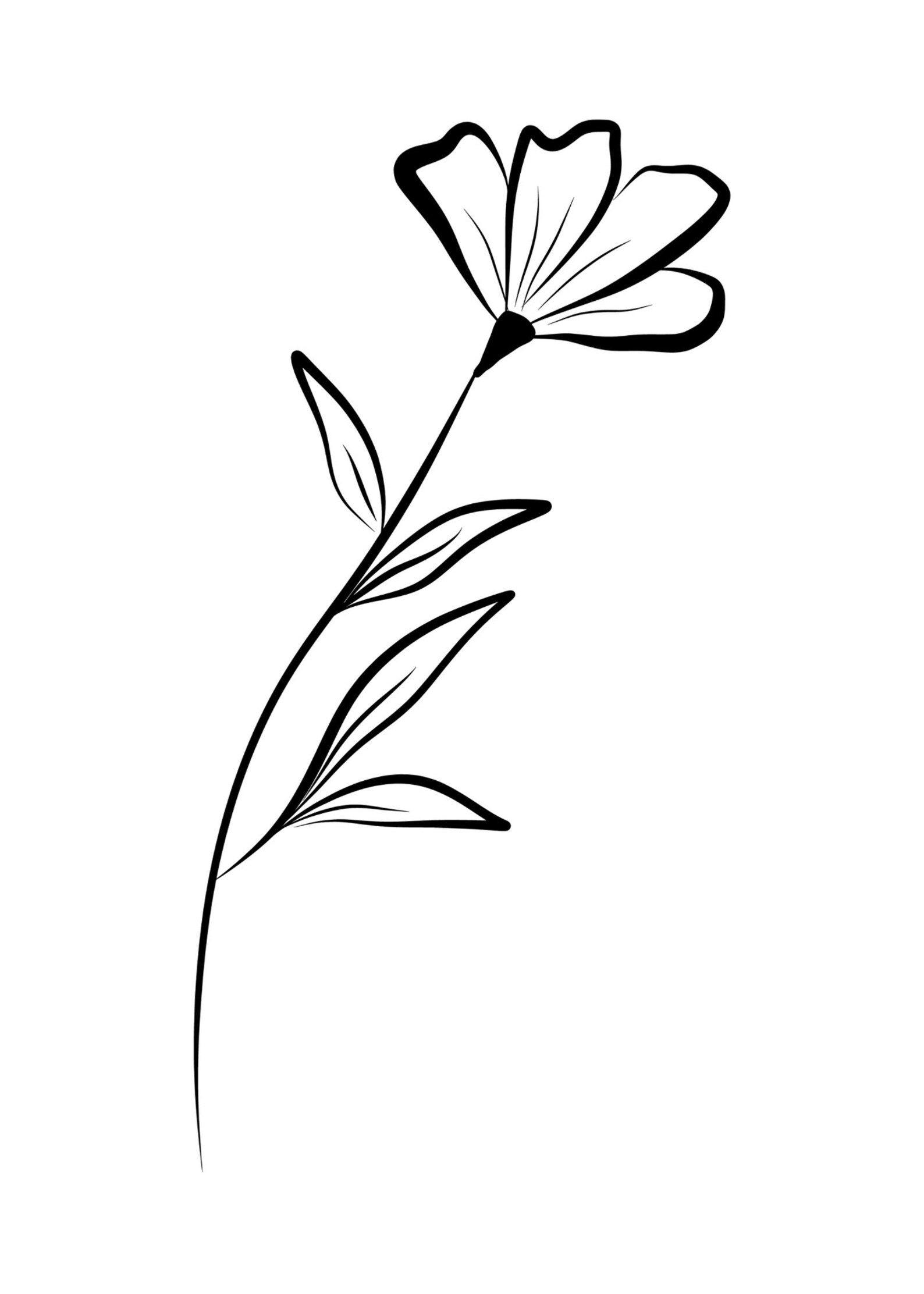 Lovely Botanical Plant Set of 4 Prints, Black and White, DIGITAL