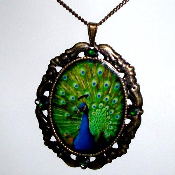 Ketting foto cameo antieke bronzen vintage Victoriaanse Steampunk Renaissance womens sieraden kunst foto turquoise teal pauwenveren