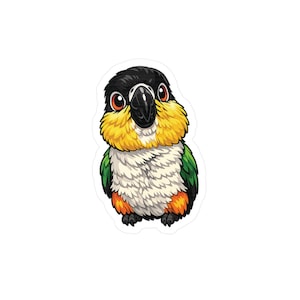 May include: A sticker featuring a cartoon illustration of a colorful parrot. The bird has a black head, a yellow and white chest, green wings, and orange accents. The parrot has large, orange eyes and a black beak.
