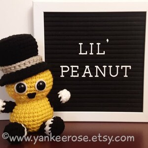 Nuts About Deez Nuts Fan Art CROCHET PATTERNS ONLY image 4