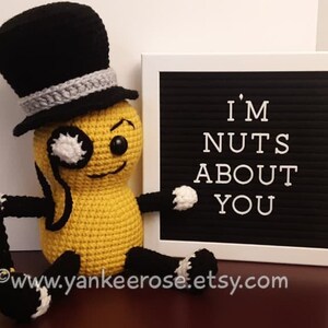 Nuts About Deez Nuts Fan Art CROCHET PATTERNS ONLY image 3