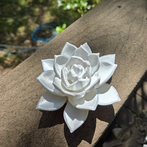 May include: A white, multi-layered succulent plant sculpture with pointed, overlapping petals arranged in a circular, blooming pattern. The object has a smooth, matte finish and a symmetrical structure, showcasing a detailed, realistic botanical form.