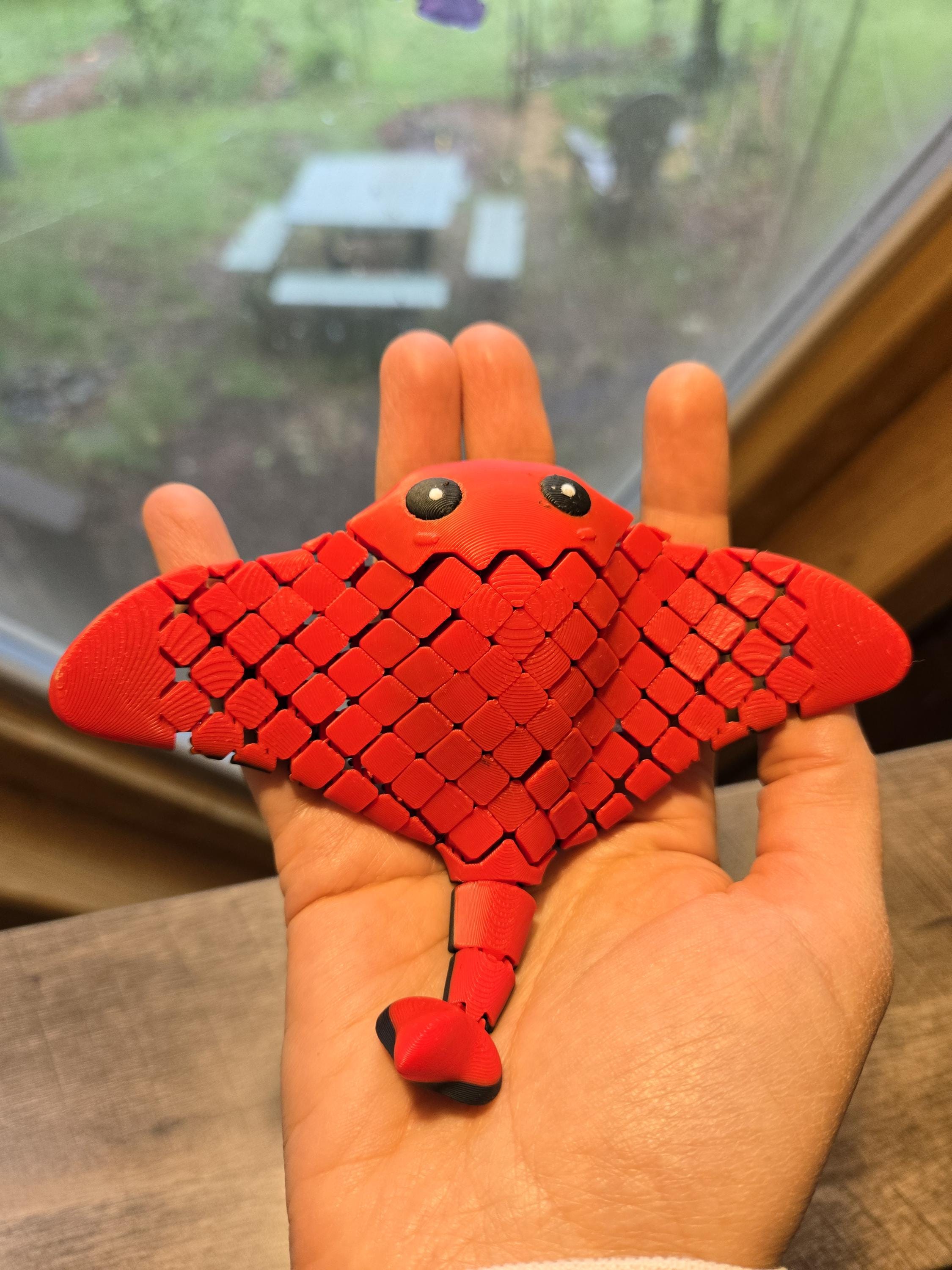 Ray Fidget Articulated, Flexi Manta Ray Fidget Toy, 3D Printed - Etsy