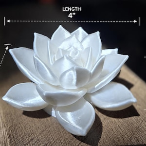 May include: A white, multi-petaled succulent sculpture with a smooth, satin-like finish. The object is labeled with dimensions of 4 inches in length, 4.1 inches in width, and 2 inches in height, indicating its physical size for reference.