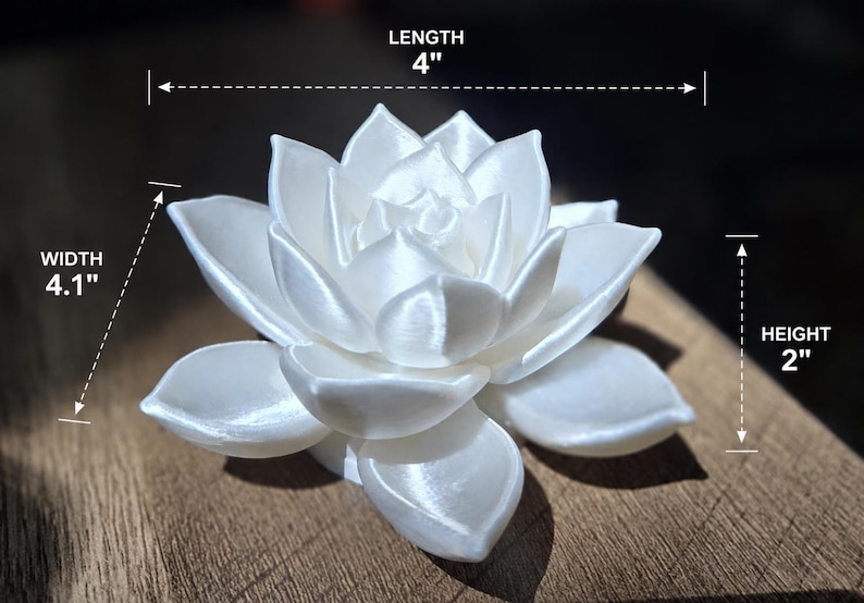 May include: A white, multi-petaled succulent sculpture with a smooth, satin-like finish. The object is labeled with dimensions of 4 inches in length, 4.1 inches in width, and 2 inches in height, indicating its physical size for reference.