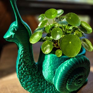 Peut inclure: Un pot de fleurs en forme d'escargot vert émeraude métallique avec un corps texturé et une coquille en spirale. Le pot contient une petite plante Pilea peperomioides verte aux feuilles rondes et plates. L'escargot a un long cou et une tête.