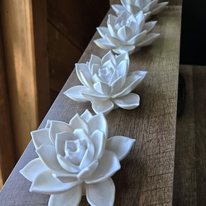 May include: Four white, matte-finish succulent-shaped ornaments arranged in a single line. Each piece features layered, pointed petals radiating from a central point, mimicking the appearance of a blooming flower. The ornaments are solid white.