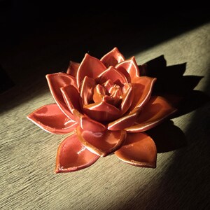 May include: A glossy, coral-colored ceramic sculpture shaped like a blooming succulent or lotus flower. The object features multiple layered, pointed petals with a smooth, reflective finish that catches the light, creating highlights along the edges.