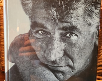 Vintage 1968 The Private World of Leonard Bernstein John Gruen Ken Heyman Hardcover Photography Music Biography