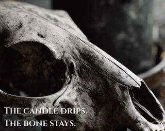Witchy Wall Art Print, Animal Skull Black Candle Decor, Gothic Occult Poster, Moody Altar Aesthetic, Instant Download