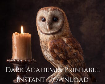 Victorian Owl Wall Art Print, Dark Academia Candlelight Decor, Gothic Bookshelf Bird Poster, Moody Study Aesthetic, Instant Download