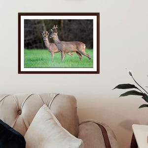Foto van een wild ree, A4 liggend formaat, natuurdecoratie voor aan de muur, digitale download, fotoafdruk van een bosdier