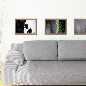 Peut inclure: Trois photographies encadrées de la nature sont accrochées au-dessus d'un canapé gris. Les images présentent des gros plans d'arbres et de feuillages. Le canapé est en tissu à motifs et comporte plusieurs coussins. Une étagère avec des décorations et un grand vase avec des branches sont à gauche.