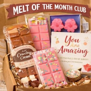 May include: A subscription box labeled "Melt of the Month Club" filled with wax melts. The box contains pink wax melts with colorful sprinkles, flower-shaped melts, and a card that reads "You Are Amazing."