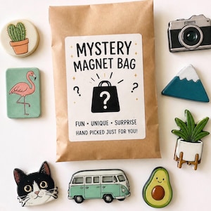 May include: A collection of decorative magnets, including a cactus in a pot, a flamingo, a camera, a mountain, a plant, a cat, a van, and an avocado. A brown paper bag with a label that reads "MYSTERY MAGNET BAG" is also present.