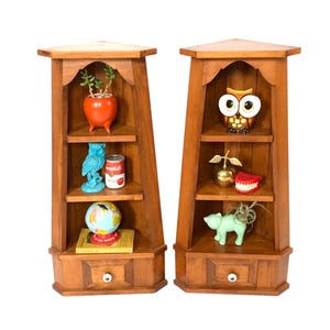 May include: Two wooden corner shelves with various decorative items. One shelf holds a plant in an orange pot, a blue owl figurine, a Campbell's soup can, and a globe. The other shelf displays an owl figurine, a golden apple, and a green animal figurine.