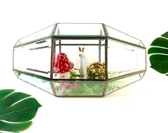 Vintage large brass glass TERRARIUM display CASE geometric hexagon succulent planter fairy garden boho retro gold home decor centerpiece