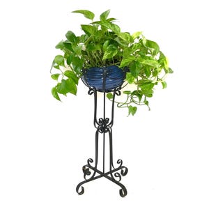 May include: A potted plant with vibrant green leaves in a blue ceramic pot, set on a black wrought iron plant stand. The stand features ornate scrollwork and a four-legged base, adding a touch of elegance to the display.