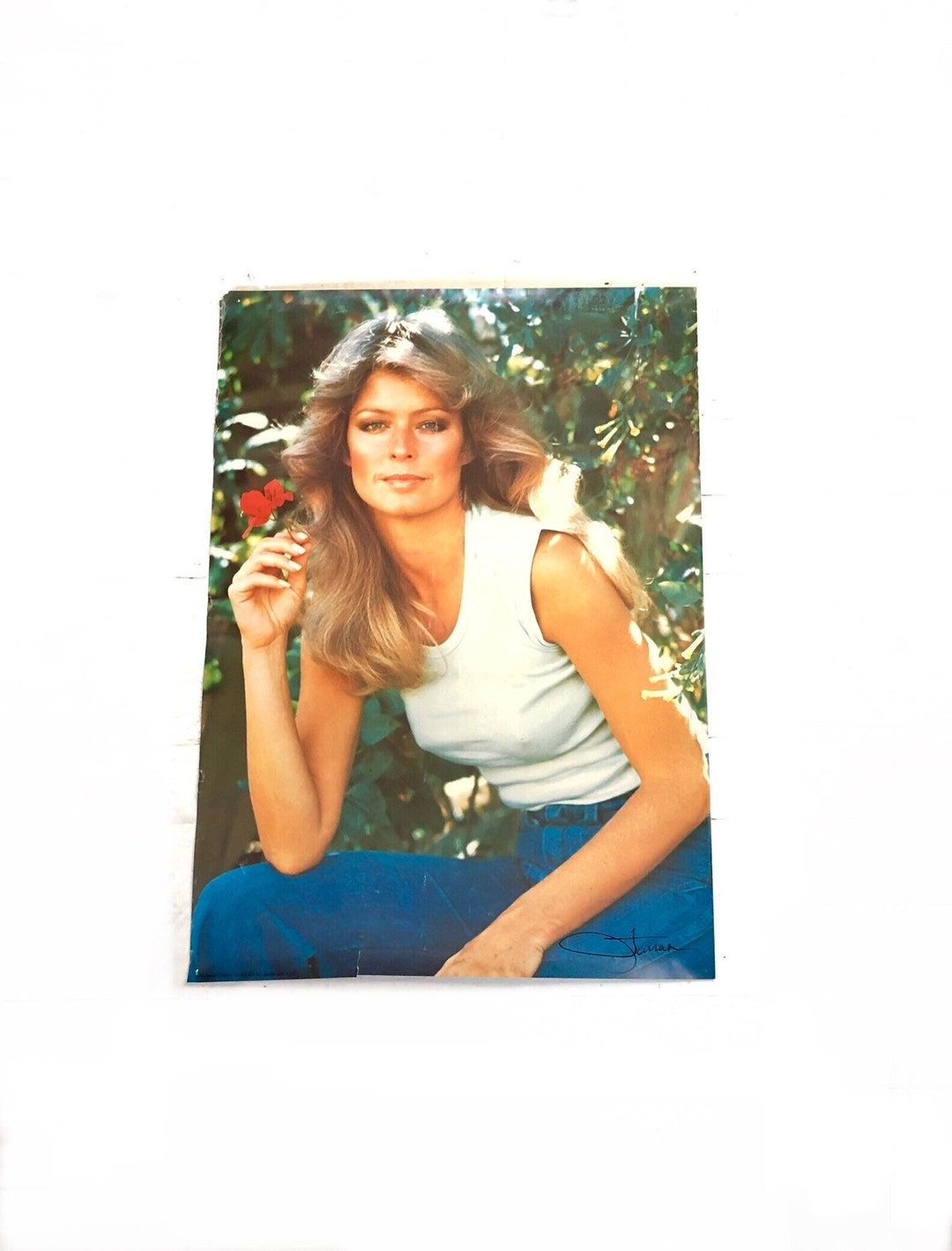 Vintage FARRAH Fawcett POSTER Flowers Pro Arts Wall Hanging Retro 70s