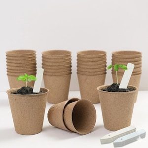 May include: A collection of light brown, circular, fibrous plant pots arranged in stacks and individually. Two pots contain small green seedlings and white rectangular plant markers. Additional white plant markers are placed in the foreground.