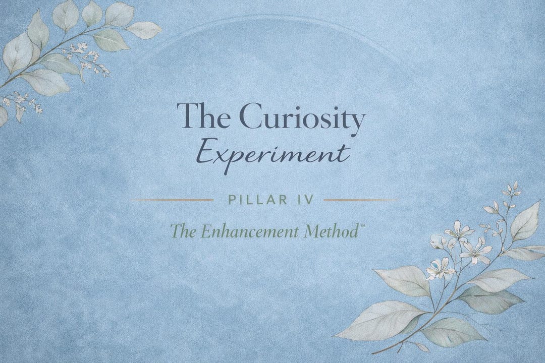 Curiosity Journal The Curiosity Experiment | Pillar 4 Reflection | Guided Self Discovery ...