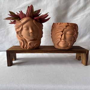 May include: Two terracotta-coloured planters shaped like human faces, one with flowing hair and one with leaf-like features, resting on a rectangular dark brown wooden stand with four short legs. The left planter contains a dark red leafy plant.