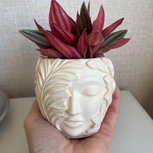 Eco-resin small succulent planters or home or desk decor, sculptured head, botanical styling.