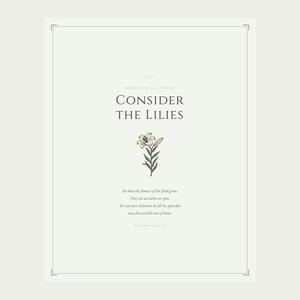 Consider the Lilies Matthew 6 28-29 Scripture Print design detail flat lay, sermon on the mount botanical lily illustration, christian wall art aesthetic floral scripture sage green