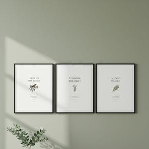 Look at the Birds Matthew 6:26 Wall Art Set of 3 Consider the Lilies Scripture Print Christian Sage Green Decor Download