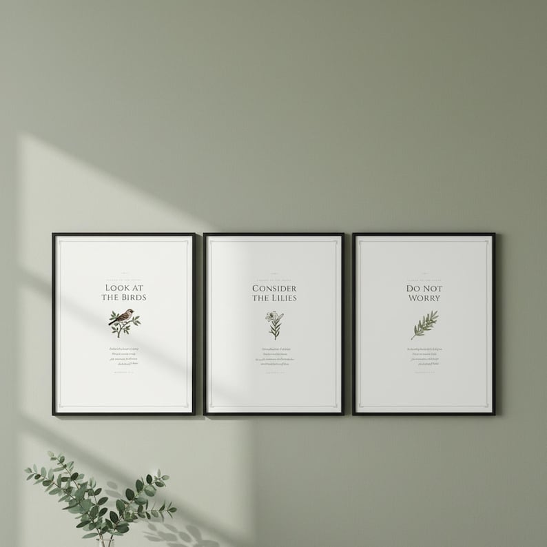 Look at the Birds Matthew 6 26 Wall Art Set of 3 Consider the Lilies Scripture, sage green christian botanical art displayed as gallery wall in serene living room with eucalyptus, sermon on the mount aesthetic christian decor