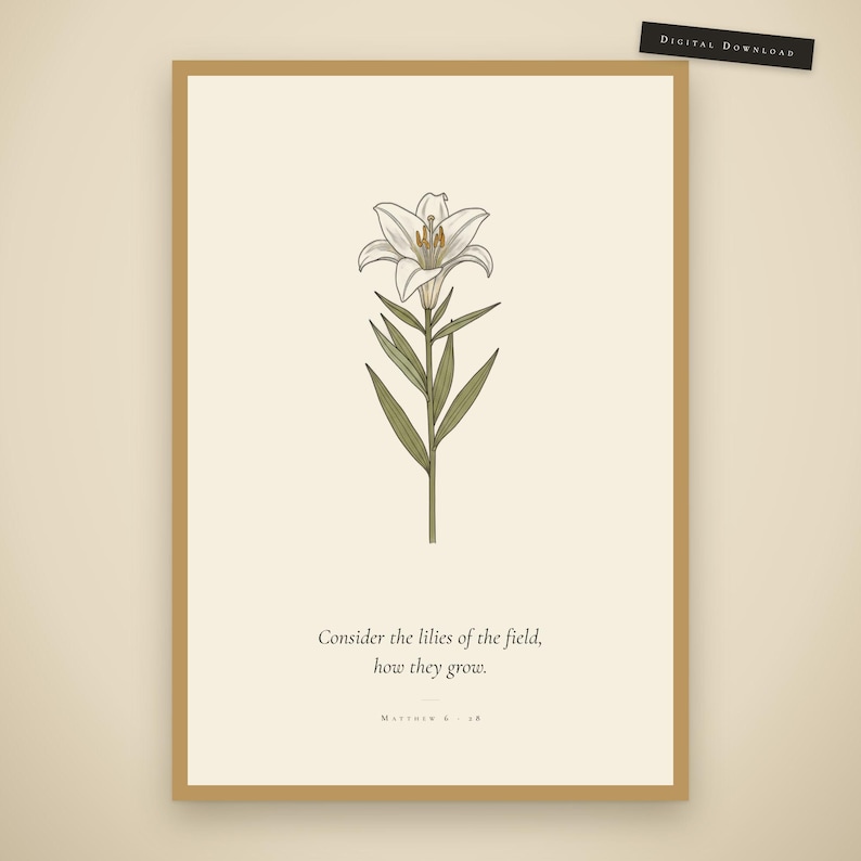 Matthew 6:28 consider the lilies of the field bible verse wall art in gold frame on warm cream wall. Vintage botanical wildflower scripture print featuring hand-drawn white lily with modern christian typography. Part of 6-print digital download set f