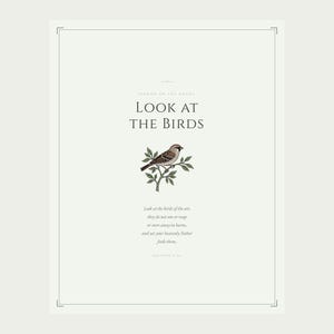 Look at the Birds Matthew 6 26 Scripture Print design detail flat lay, sermon on the mount botanical sparrow illustration, christian wall art aesthetic floral scripture sage green